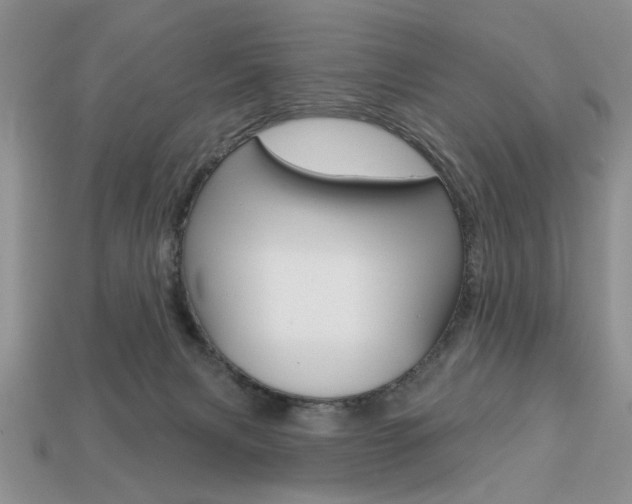 X0000113740079200909230954