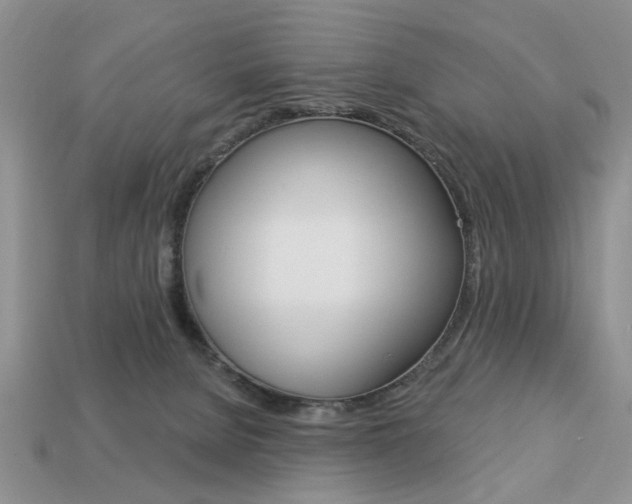 X0000113740080200909230954