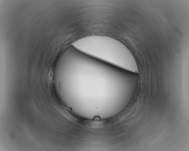 X0000113740081200909230954
