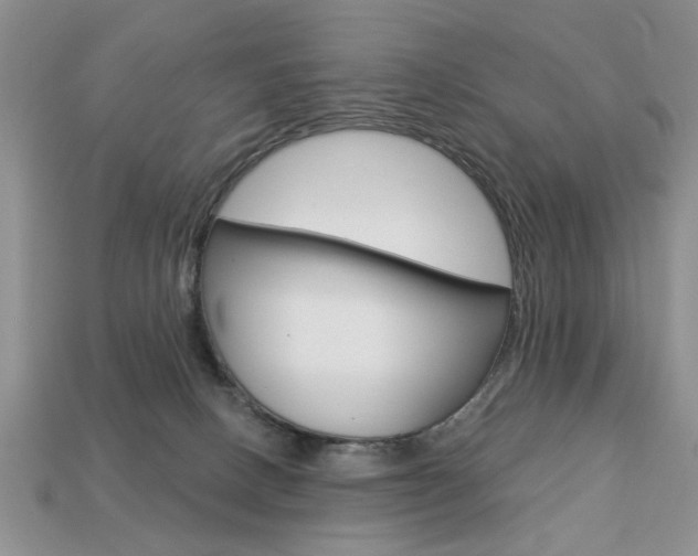X0000113740082200909230954