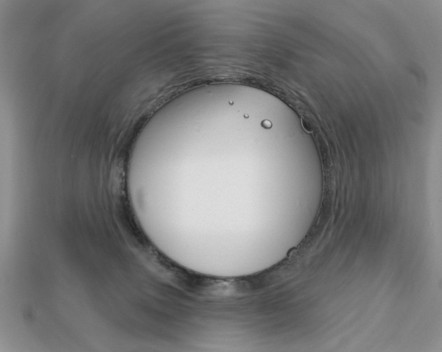 X0000113740083200909230954