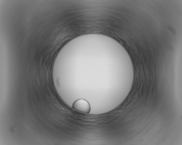 X0000113740084200909230954