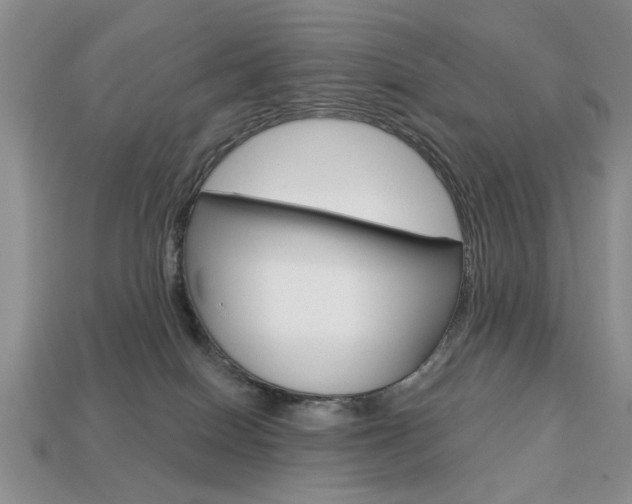 X0000113740086200909230954