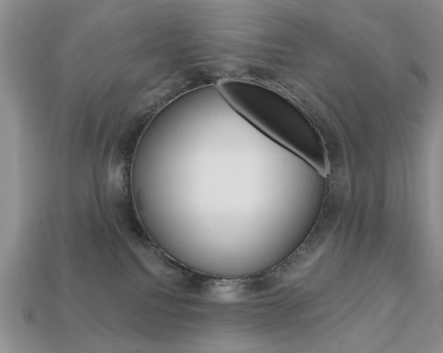 X0000113740088200909230954