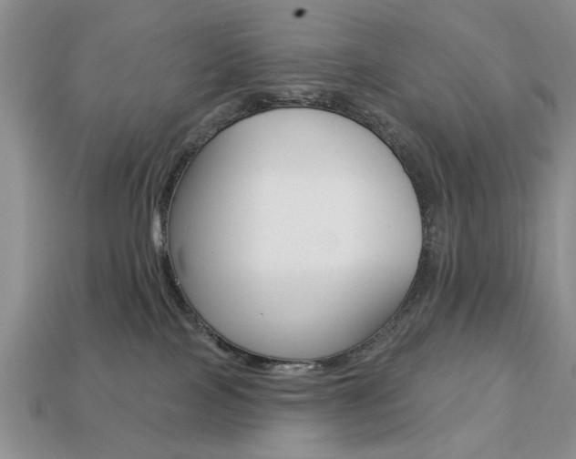 X0000113740089200909230954