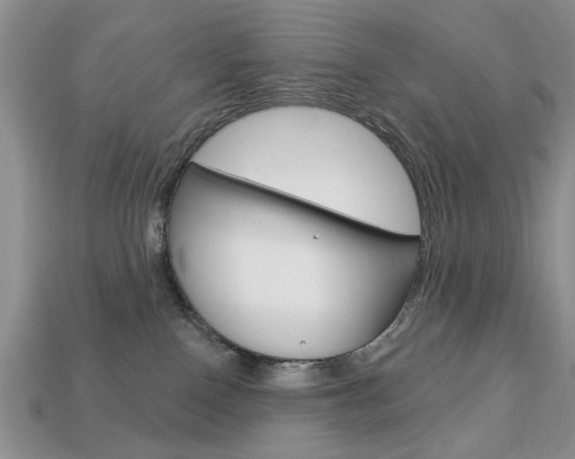 X0000113740090200909230954