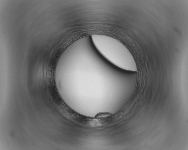 X0000113740091200909230954