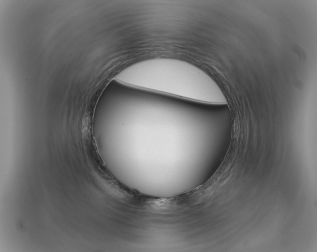 X0000113740092200909230954