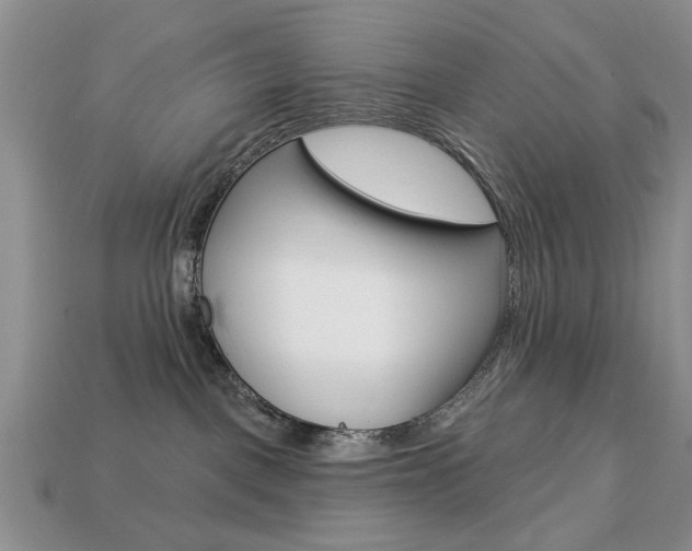X0000113740093200909230954