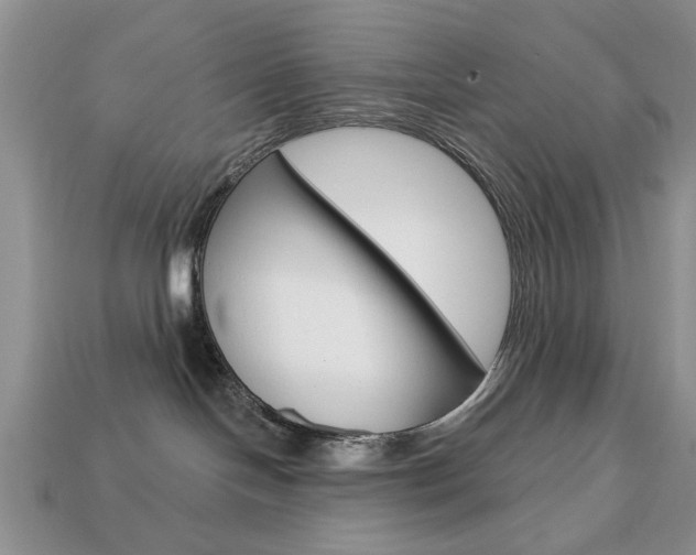 X0000113740094200909230954