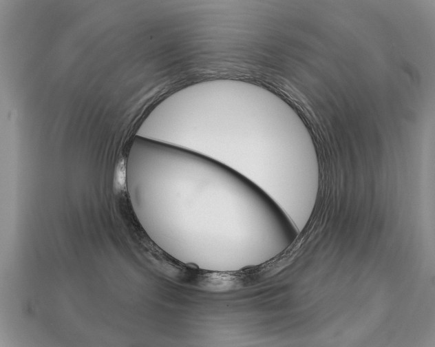 X0000113740095200909230954