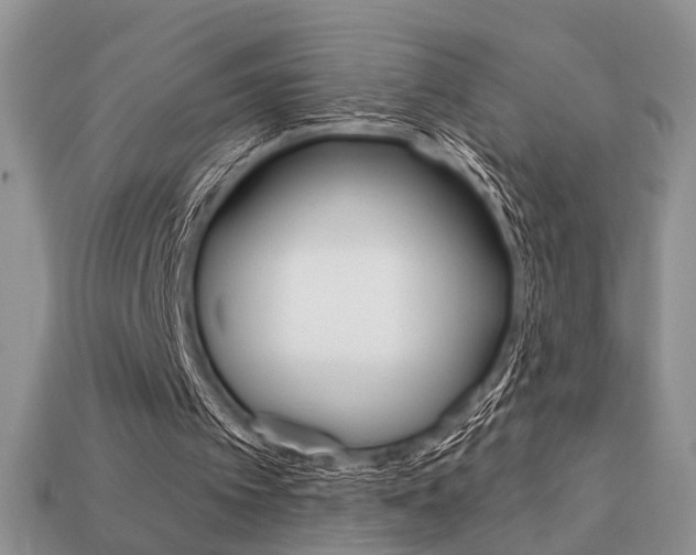X0000113740097200909230954