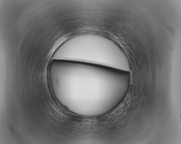 X0000113740099200909230954
