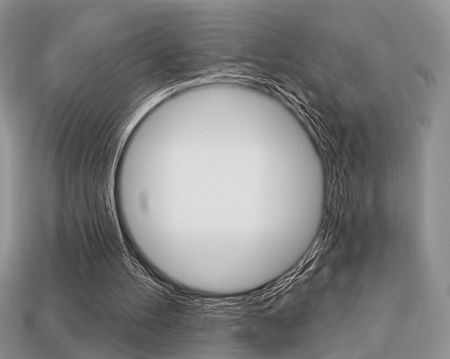 X0000113740100200909230954
