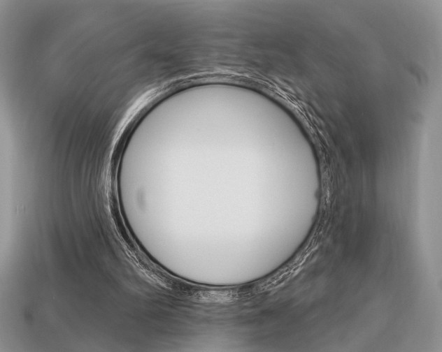 X0000113740102200909230954