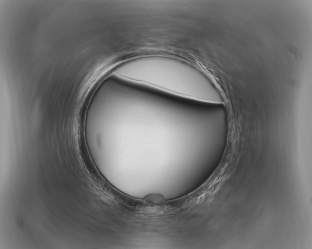X0000113740103200909230954