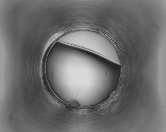 X0000113740104200909230954