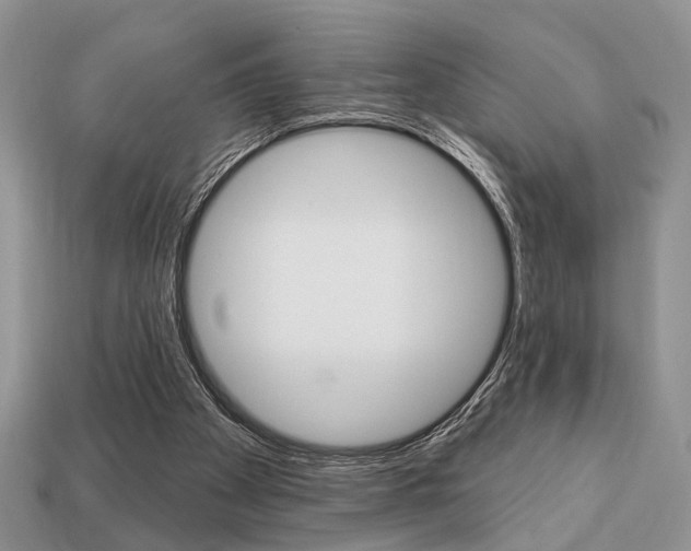 X0000113740105200909230954