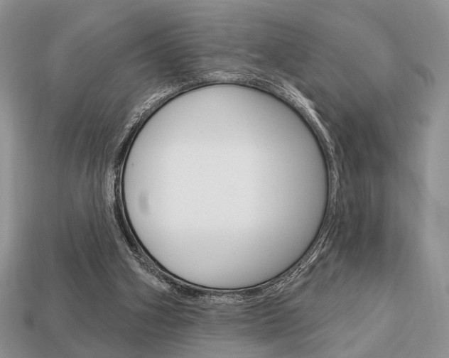 X0000113740106200909230954