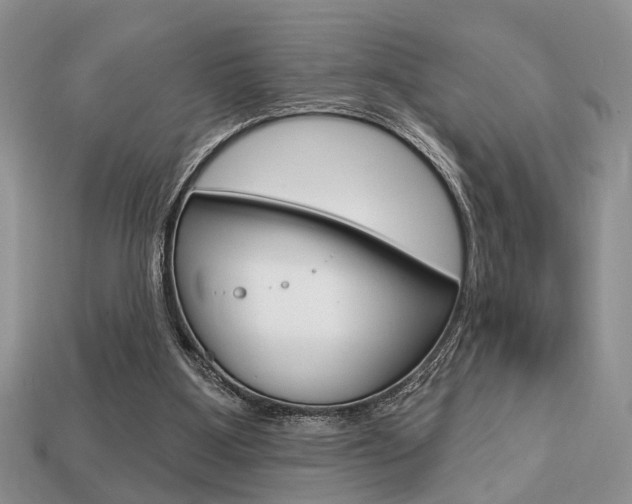 X0000113740107200909230954