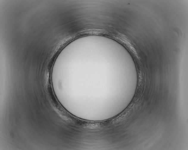 X0000113740110200909230953
