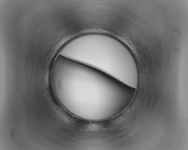 X0000113740111200909230953