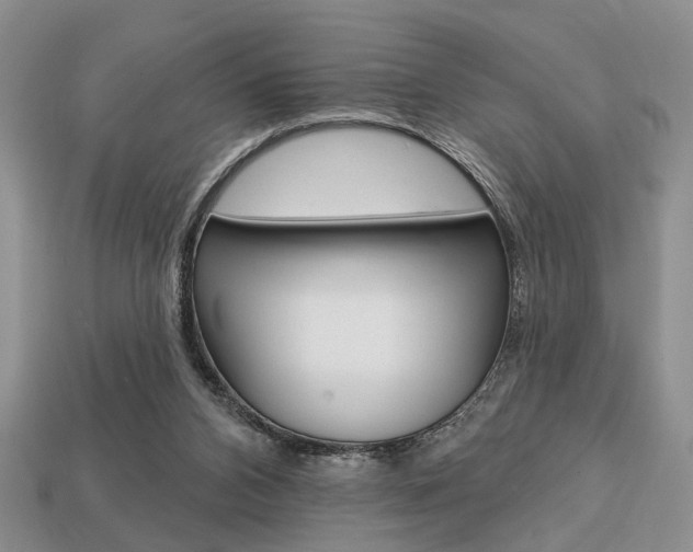 X0000113740112200909230953