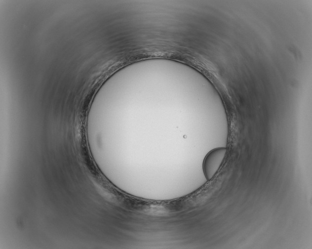 X0000113740114200909230953