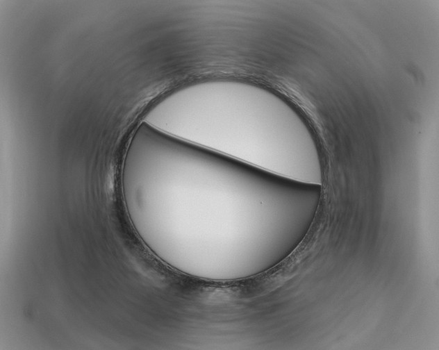 X0000113740115200909230953