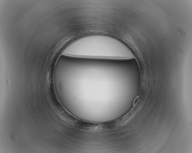 X0000113740116200909230953