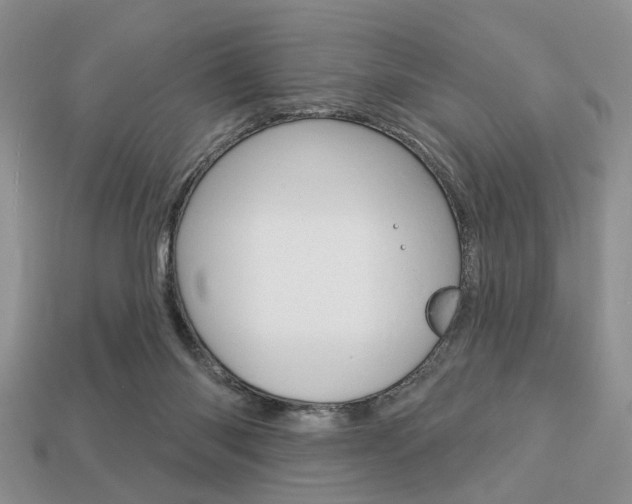 X0000113740118200909230953