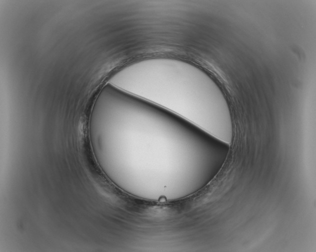X0000113740119200909230953