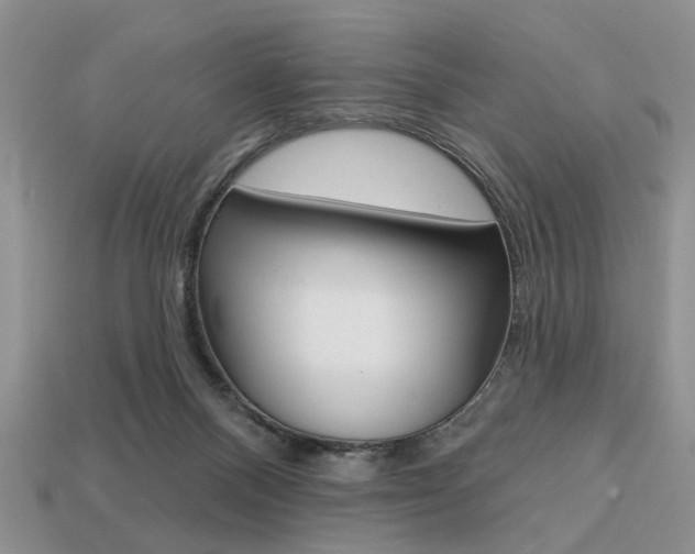 X0000113740120200909230953