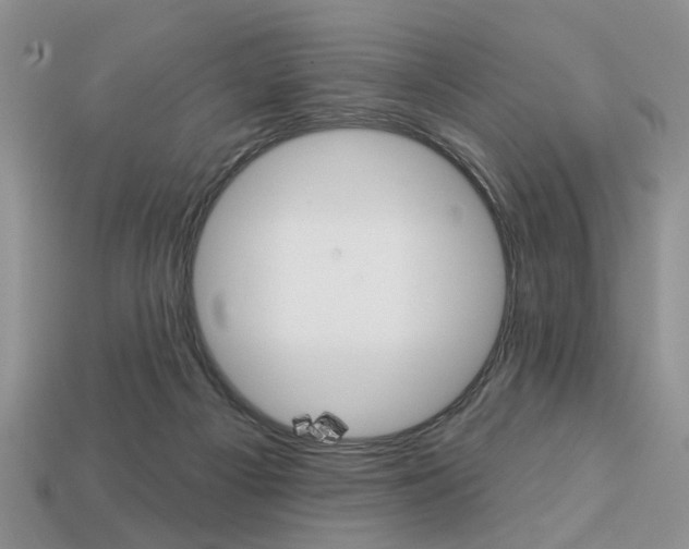 X0000113740121200909230953