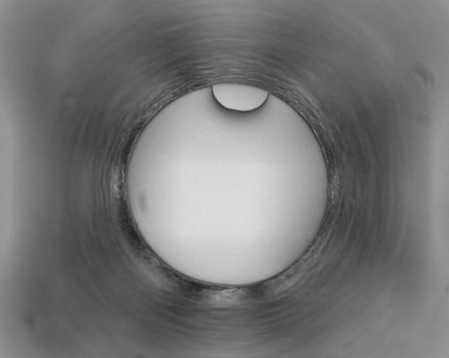 X0000113740122200909230953