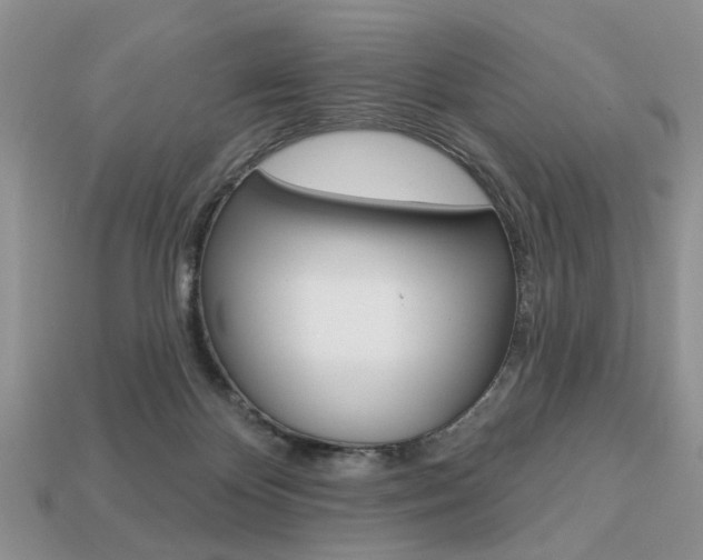 X0000113740124200909230953