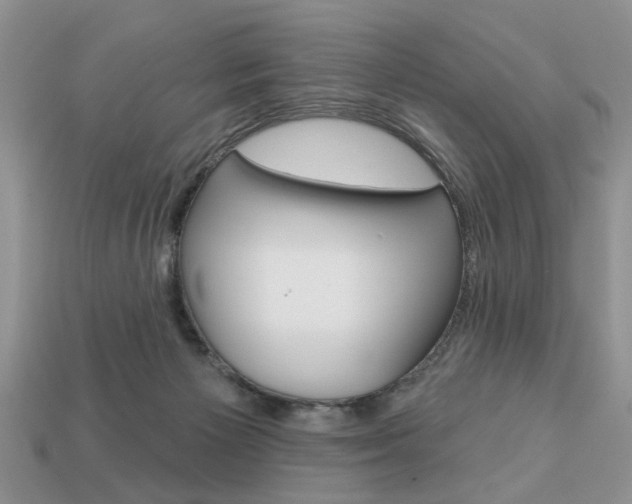 X0000113740125200909230953