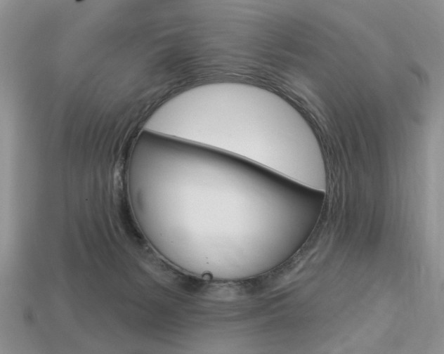 X0000113740127200909230953