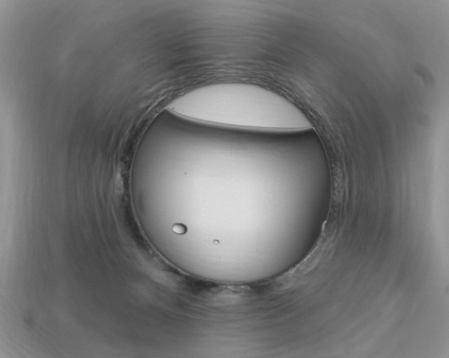 X0000113740128200909230953