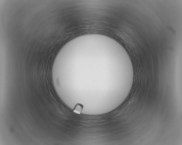 X0000113740129200909230953