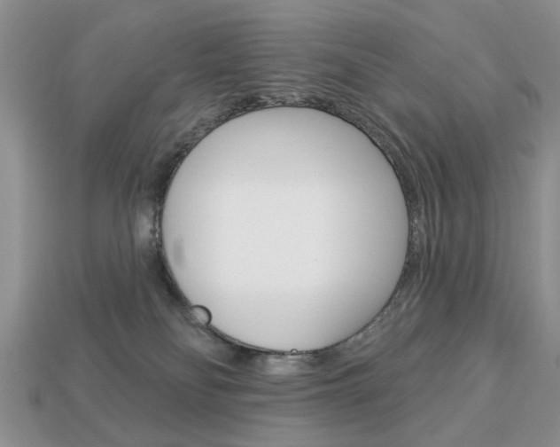 X0000113740134200909230953