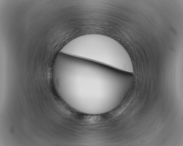 X0000113740135200909230953