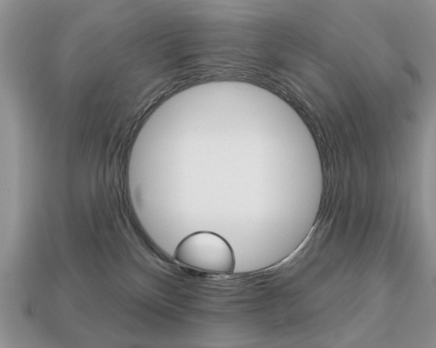X0000113740136200909230953