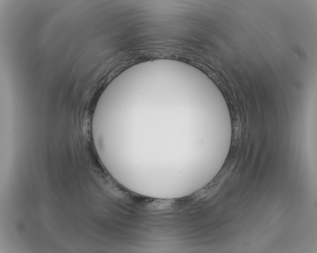 X0000113740138200909230953