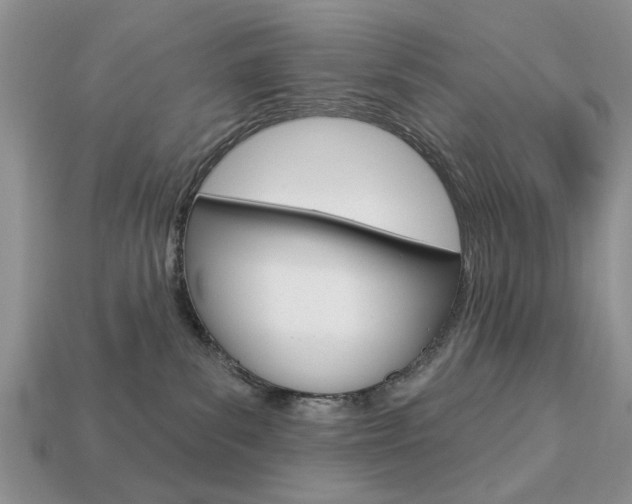 X0000113740139200909230953