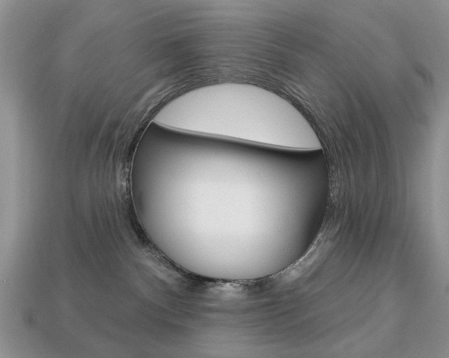 X0000113740140200909230953