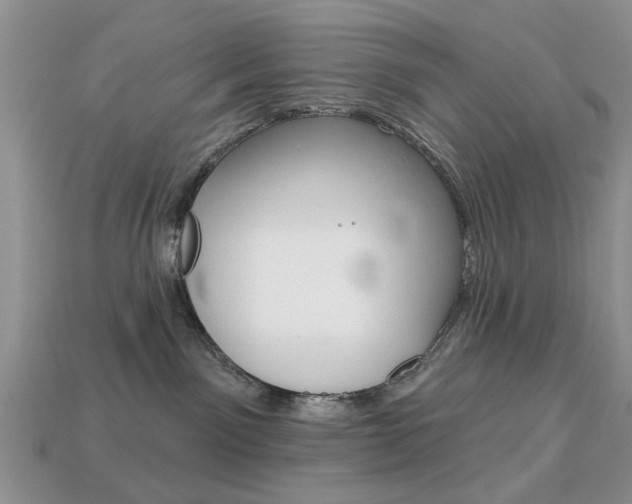 X0000113740141200909230953