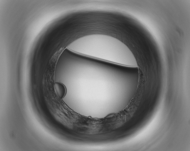 X0000113740143200909230953