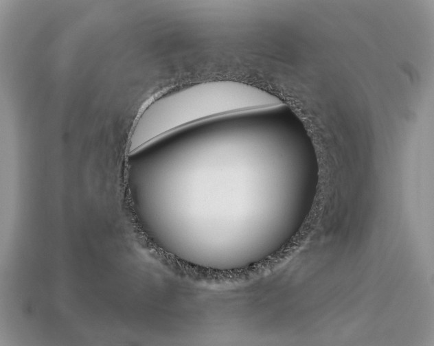 X0000113740144200909230953
