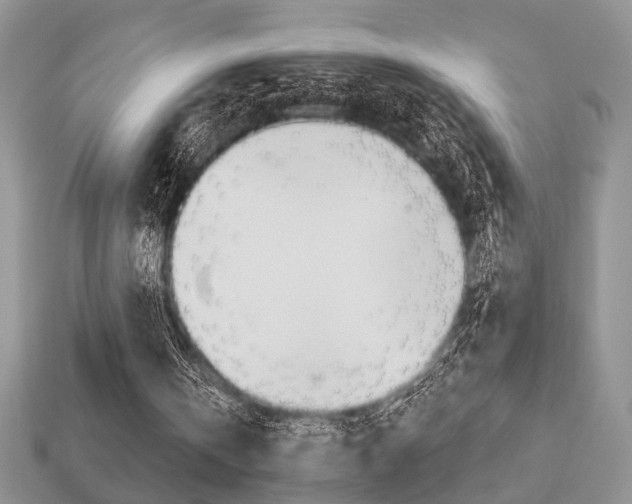 X0000113740146200909230952